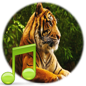 Animal Sounds icon