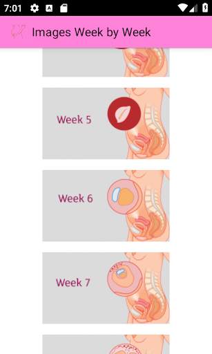 Pregnancy weekly info app screenshot 3