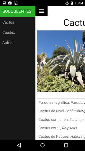 Au Cactus screenshot 4
