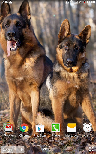 Dogs Wallpaper screenshot 10