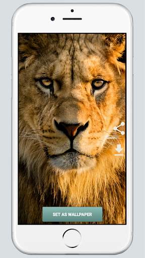 HD Wallpapers screenshot 3