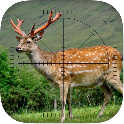 Deer Sniper: Hunting Game 1.00