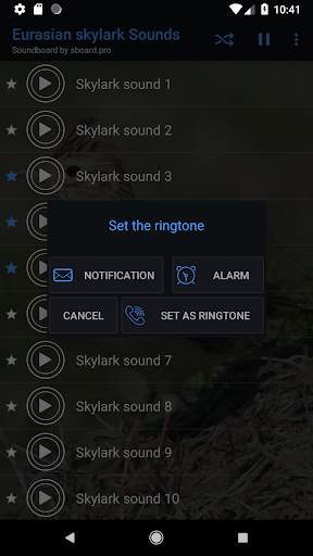 Skylark Bird Sounds ~ Sboard.pro screenshot 3