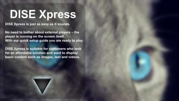 DISE Xpress Player screenshot 3