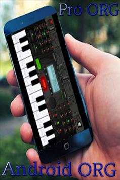 Pro Elektronik ORG Musik screenshot 3