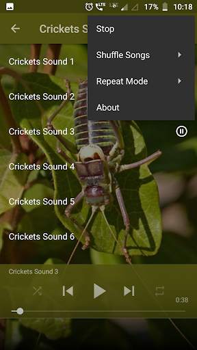 Crickets Sounds screenshot 3