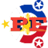 PINAS VPN icon