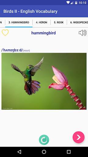 Learn English Free - Grammar Listening Vocabulary screenshot 17