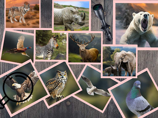 Hunting Clash Shooting Games screenshot 9