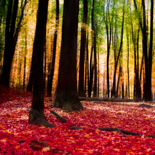 Autumn Landscape Wallpaper icon