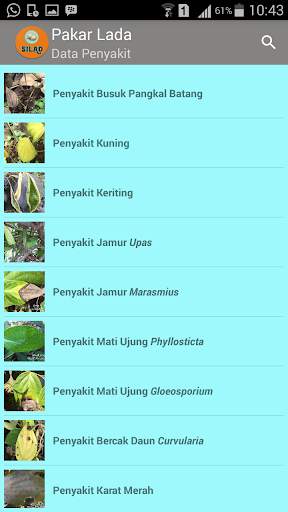 Pakar Lada screenshot 5