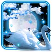 Swans Moon Night LWP 1.3