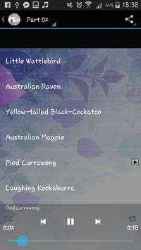 Birds Calls Songs and Sounds screenshot 3
