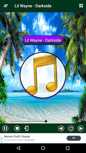 Lil Wayne All Music Album OFFLINE screenshot 4