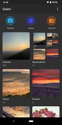 Galeri-Foto & Editor Exif screenshot 2
