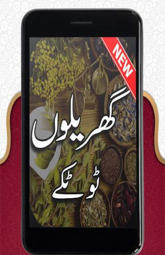 Gharelo Totkay screenshot 1
