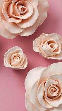 Flower wallpapers HD screenshot 1