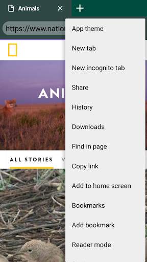 Light Indian Browser screenshot 5