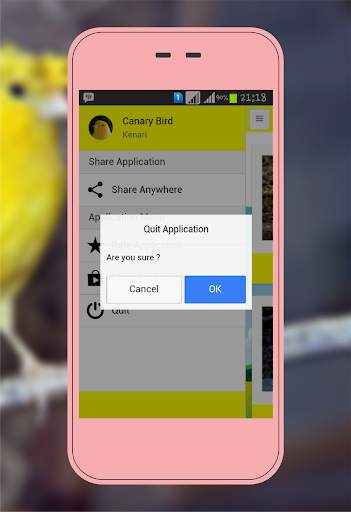 Canary Birds screenshot 4