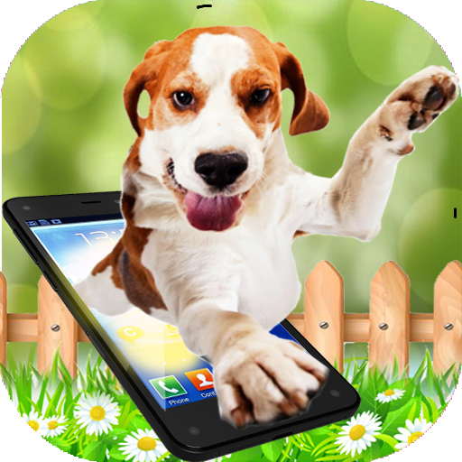 Cute Dog in Phone Funny walks icon