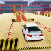 Precision Driver Car Parking icon