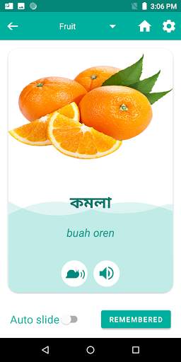 Malay Bengali Translator screenshot 4
