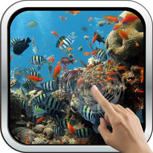 Colorful Tropical Fishes 10.0