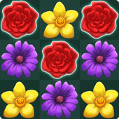 Extreme Match icon