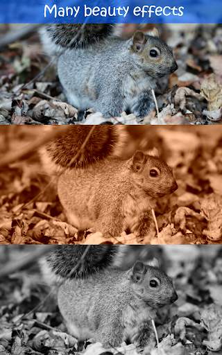 Photo IA Design: Effect Editor screenshot 14