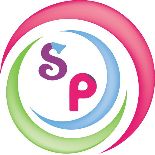 Solution Point icon