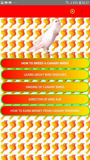 Learn all about Canary Birds with Bird Manager скриншот 1