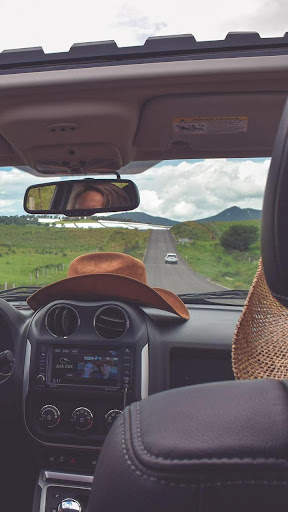 Learn Driving screenshot 1