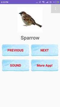 Birds Name with spelling and Picture 🐔 🐓 🐦 screenshot 5