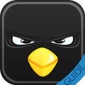 Guide For Angry Birds Space 1.0