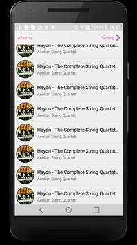 iMusic - Perfect Music Player screenshot 4