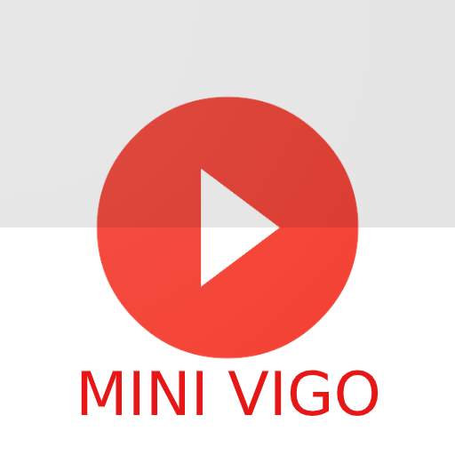 Mini Vigo 1.3
