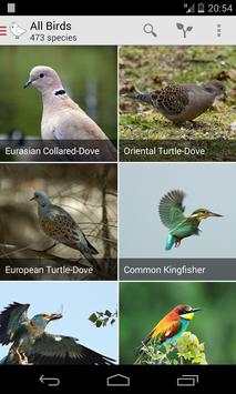 Bird Watcher screenshot 1