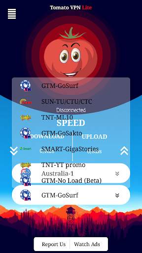Tomato VPN Lite - Bypass Network Restricted Site screenshot 5