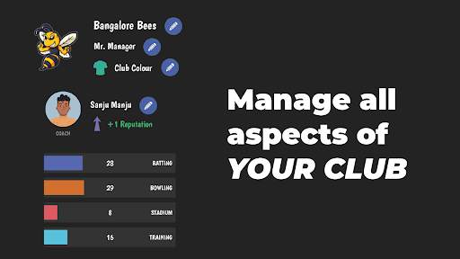 T20 Cricket Manager screenshot 2