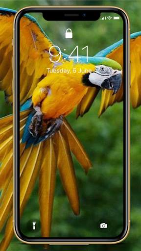 Bird Wallpapers HD Special screenshot 5