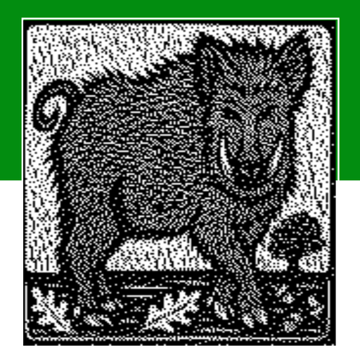 NonogramPicture No.4 icon