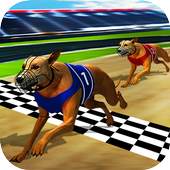 Wild Greyhound Dog Racing 1.4