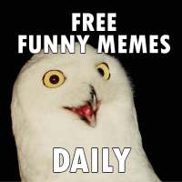 FUNNY MEMES