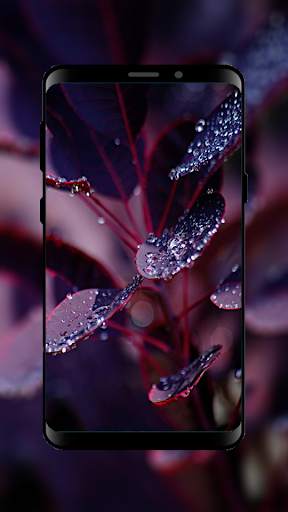 HD Wallpapers and Backgrounds screenshot 6