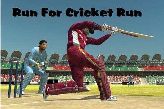 Best Cricket Game The Run screenshot 3