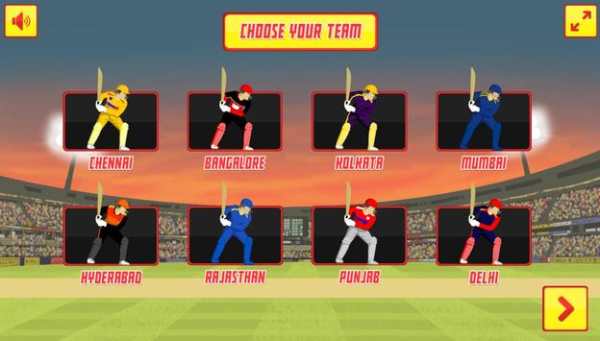 Pro Cricket Tournament screenshot 1