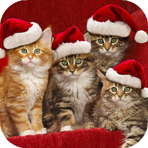 Christmas Wallpapers HD (backgrounds &amp; themes) icon