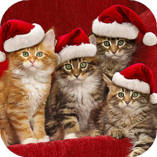 Christmas Wallpapers HD (backgrounds & themes) 16.0