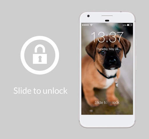 Cute Dogs Domestic Pets Beautiful Lock Screen screenshot 1