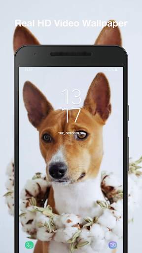 Puppy Live Wallpaper screenshot 3